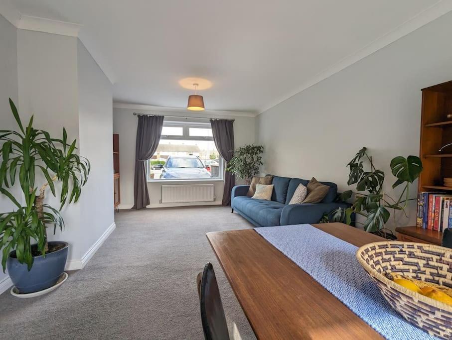Вилла Moorside Terrace Гисборо Экстерьер фото